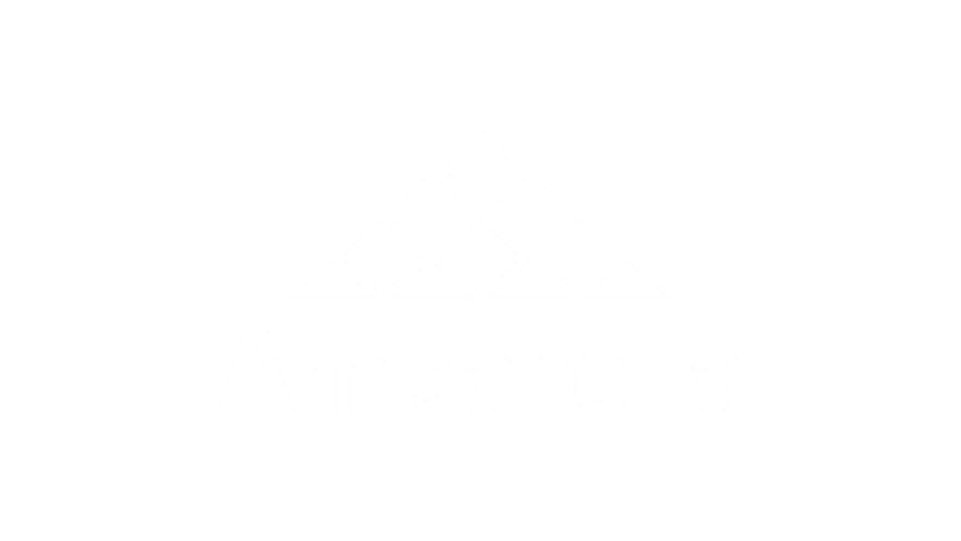 Ambarella